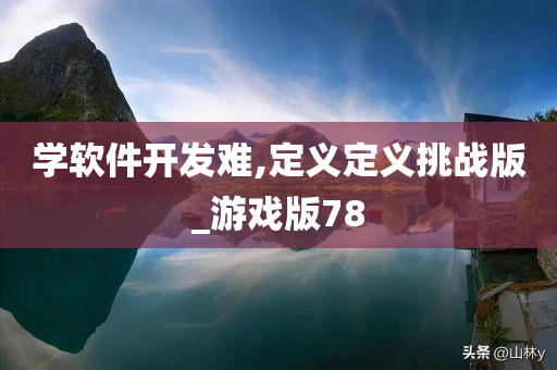 学软件开发难,定义定义挑战版_游戏版78