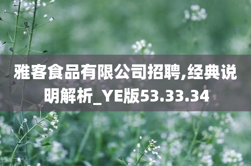 雅客食品有限公司招聘,经典说明解析_YE版53.33.34