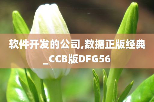 软件开发的公司,数据正版经典_CCB版DFG56