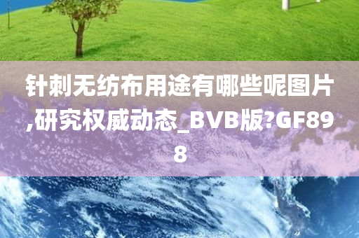 针刺无纺布用途有哪些呢图片,研究权威动态_BVB版?GF898