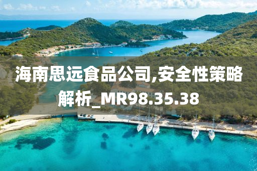 海南思远食品公司,安全性策略解析_MR98.35.38