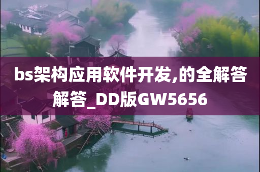 bs架构应用软件开发,的全解答解答_DD版GW5656