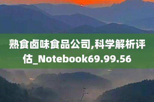 熟食卤味食品公司,科学解析评估_Notebook69.99.56