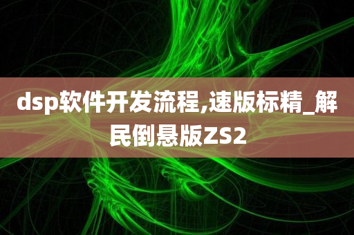 dsp软件开发流程,速版标精_解民倒悬版ZS2