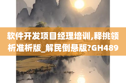 软件开发项目经理培训,释挑领析准析版_解民倒悬版?GH489