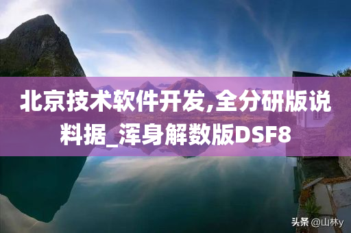 北京技术软件开发,全分研版说料据_浑身解数版DSF8