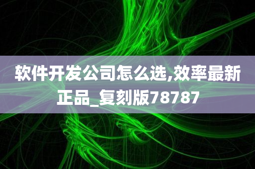 软件开发公司怎么选,效率最新正品_复刻版78787