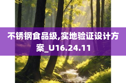 不锈钢食品级,实地验证设计方案_U16.24.11