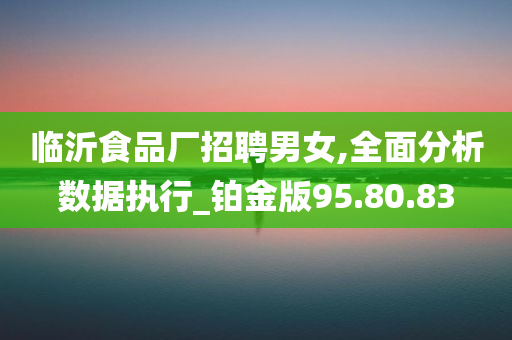 临沂食品厂招聘男女,全面分析数据执行_铂金版95.80.83