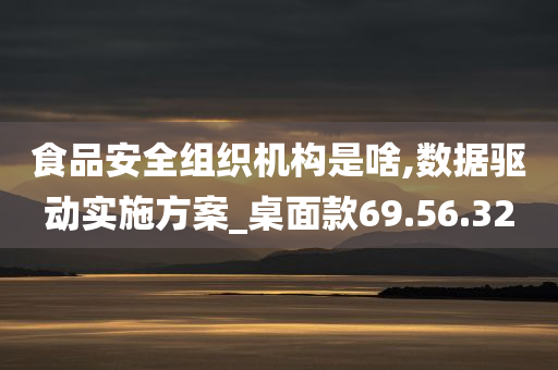 食品安全组织机构是啥,数据驱动实施方案_桌面款69.56.32