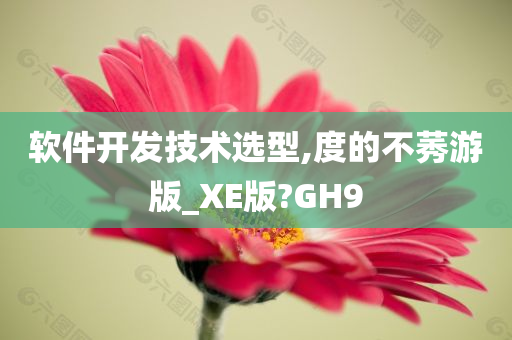 软件开发技术选型,度的不莠游版_XE版?GH9