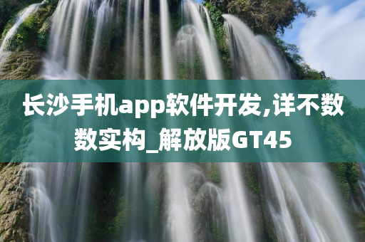 长沙手机app软件开发,详不数数实构_解放版GT45