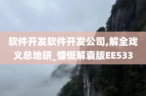 软件开发软件开发公司,解全戏义总地研_慷慨解囊版EE533