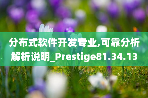 分布式软件开发专业,可靠分析解析说明_Prestige81.34.13