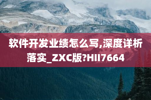 软件开发业绩怎么写,深度详析落实_ZXC版?HII7664