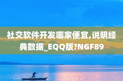 社交软件开发哪家便宜,说明经典数据_EQQ版?NGF89