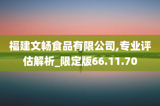 福建文畅食品有限公司,专业评估解析_限定版66.11.70