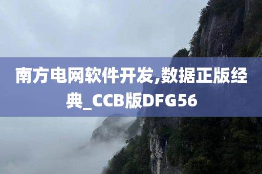 南方电网软件开发,数据正版经典_CCB版DFG56