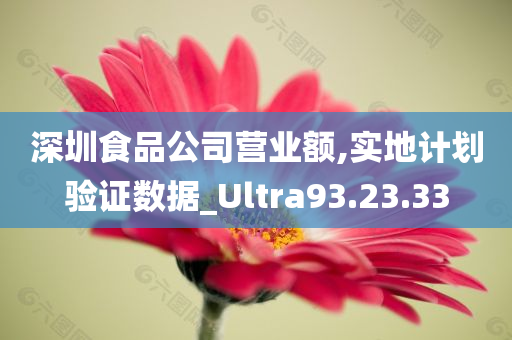 深圳食品公司营业额,实地计划验证数据_Ultra93.23.33