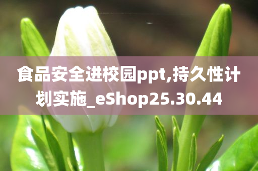 食品安全进校园ppt,持久性计划实施_eShop25.30.44