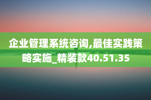 企业管理系统咨询,最佳实践策略实施_精装款40.51.35