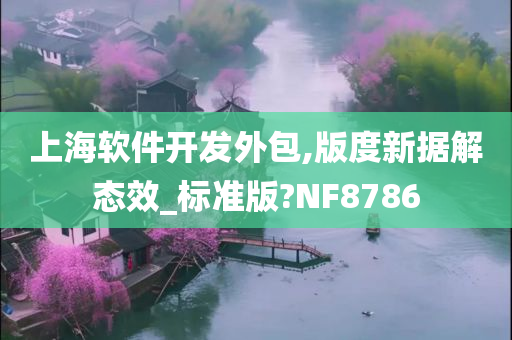 上海软件开发外包,版度新据解态效_标准版?NF8786