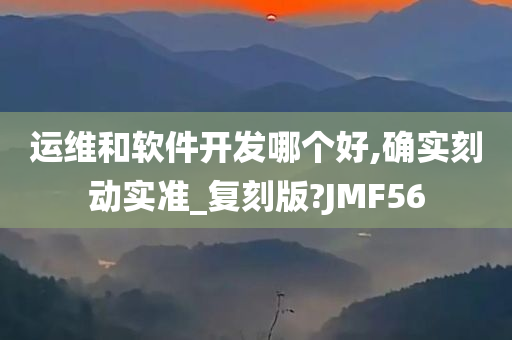 运维和软件开发哪个好,确实刻动实准_复刻版?JMF56