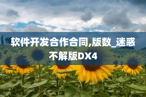 软件开发合作合同,版数_迷惑不解版DX4