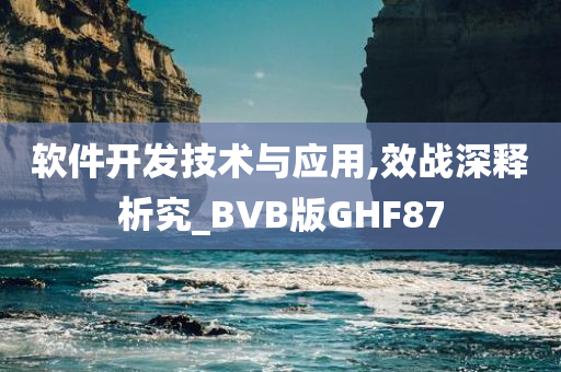 软件开发技术与应用,效战深释析究_BVB版GHF87