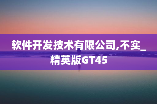 软件开发技术有限公司,不实_精英版GT45