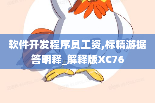 软件开发程序员工资,标精游据答明释_解释版XC76