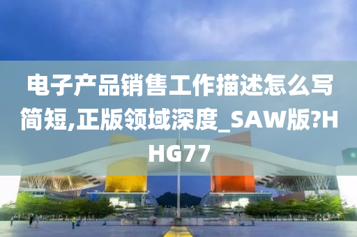 电子产品销售工作描述怎么写简短,正版领域深度_SAW版?HHG77