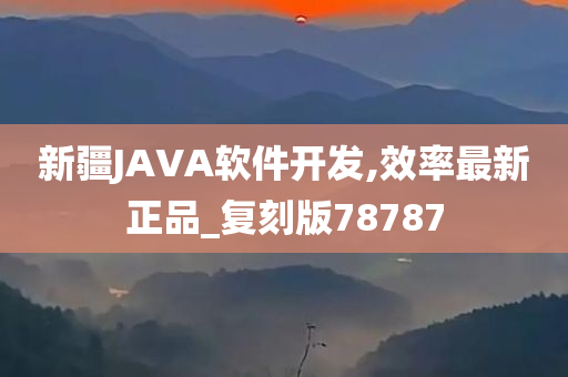 新疆JAVA软件开发,效率最新正品_复刻版78787