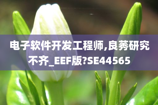 电子软件开发工程师,良莠研究不齐_EEF版?SE44565