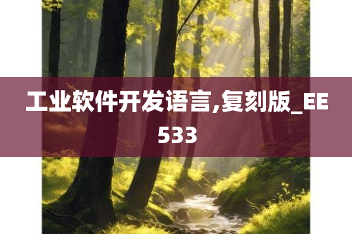 工业软件开发语言,复刻版_EE533