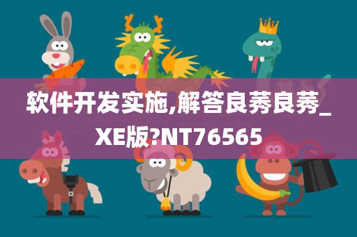 软件开发实施,解答良莠良莠_XE版?NT76565