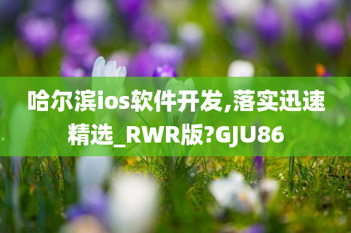 哈尔滨ios软件开发,落实迅速精选_RWR版?GJU86