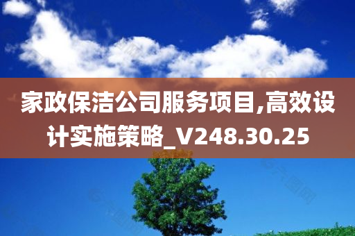 家政保洁公司服务项目,高效设计实施策略_V248.30.25