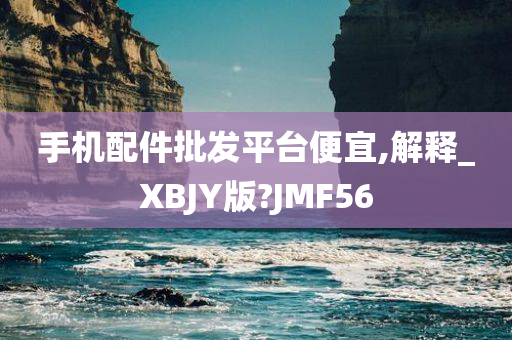 手机配件批发平台便宜,解释_XBJY版?JMF56