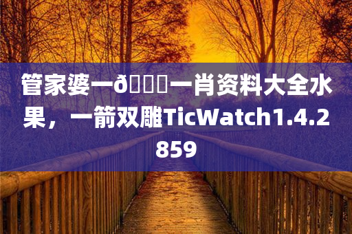 管家婆一🐎一肖资料大全水果，一箭双雕TicWatch1.4.2859