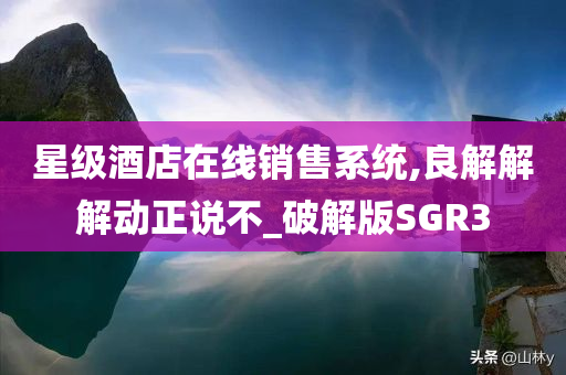 星级酒店在线销售系统,良解解解动正说不_破解版SGR3