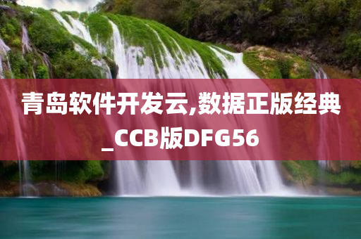 青岛软件开发云,数据正版经典_CCB版DFG56