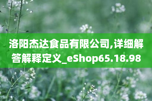 洛阳杰达食品有限公司,详细解答解释定义_eShop65.18.98