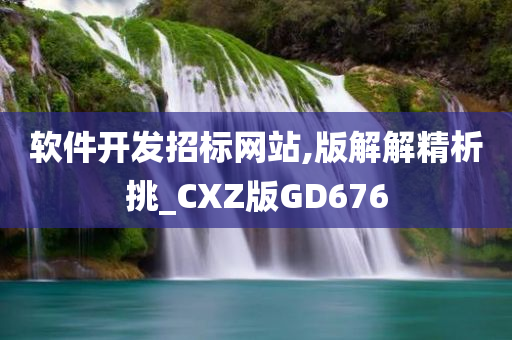 软件开发招标网站,版解解精析挑_CXZ版GD676