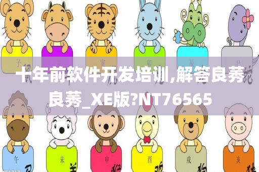 十年前软件开发培训,解答良莠良莠_XE版?NT76565