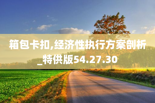 箱包卡扣,经济性执行方案剖析_特供版54.27.30