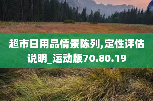 超市日用品情景陈列,定性评估说明_运动版70.80.19