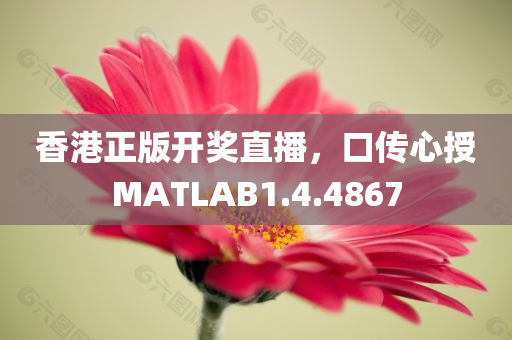 香港正版开奖直播，口传心授MATLAB1.4.4867