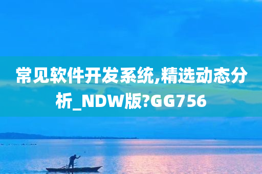 常见软件开发系统,精选动态分析_NDW版?GG756