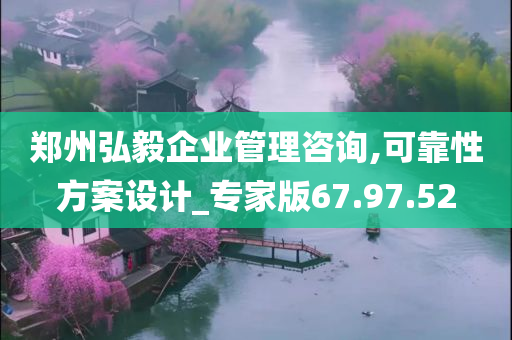 郑州弘毅企业管理咨询,可靠性方案设计_专家版67.97.52